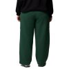 Womens Aldermore Fleece Cargo Pant, Rain Forest, 3X